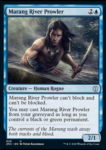 Marang River Prowler (Marangfluss-Herumtreiber)